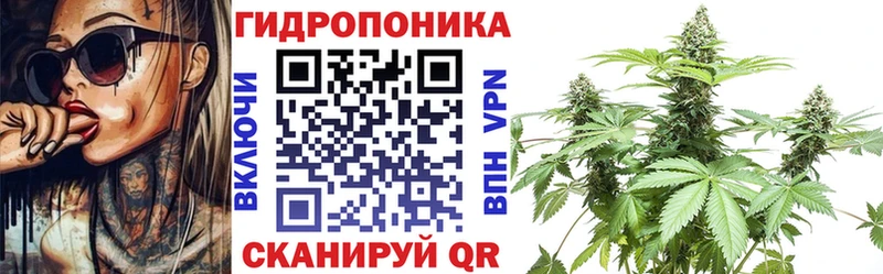 Шишки марихуана MAZAR Ивдель